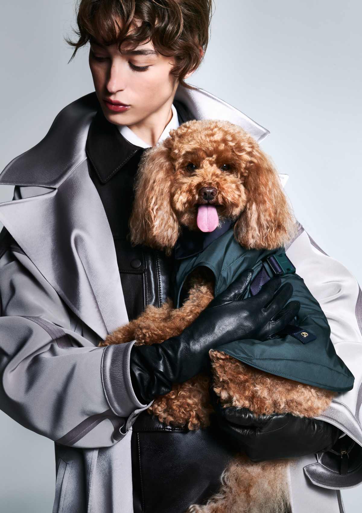 Giorgio Armani Continues The Collaboration With Poldo Dog Couture