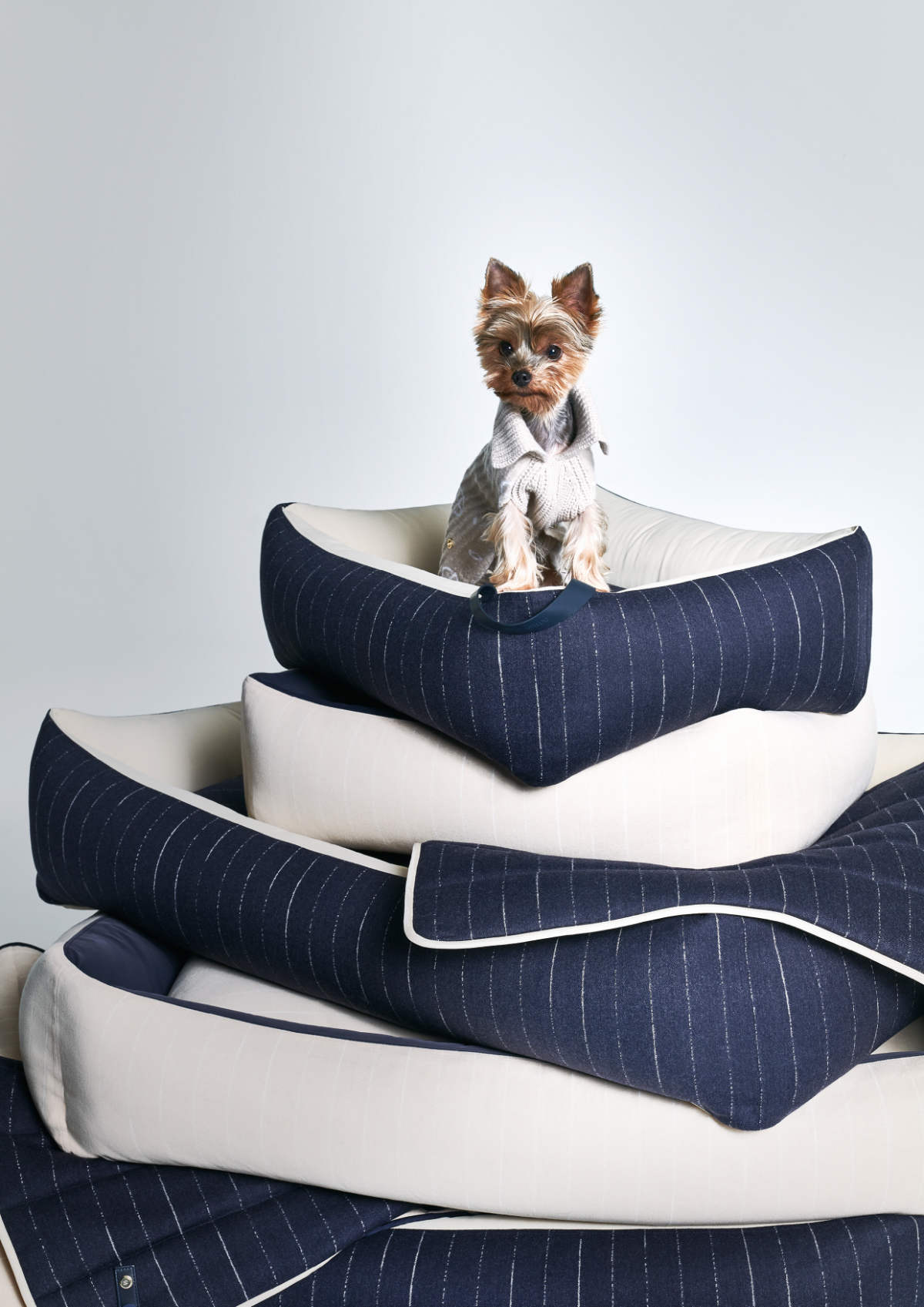 Giorgio Armani Continues The Collaboration With Poldo Dog Couture