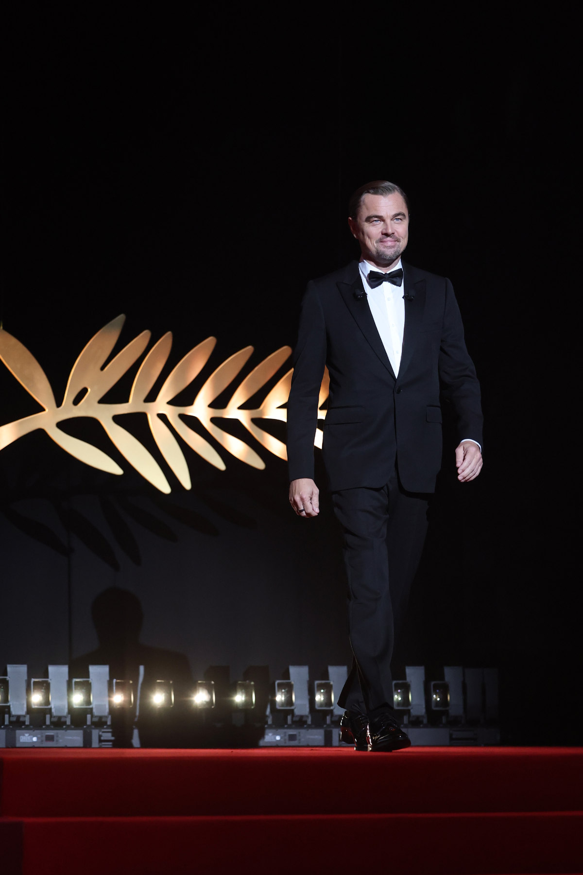 Leonardo DiCaprio In Celine Homme At The 78th Annual Cannes Film Festival