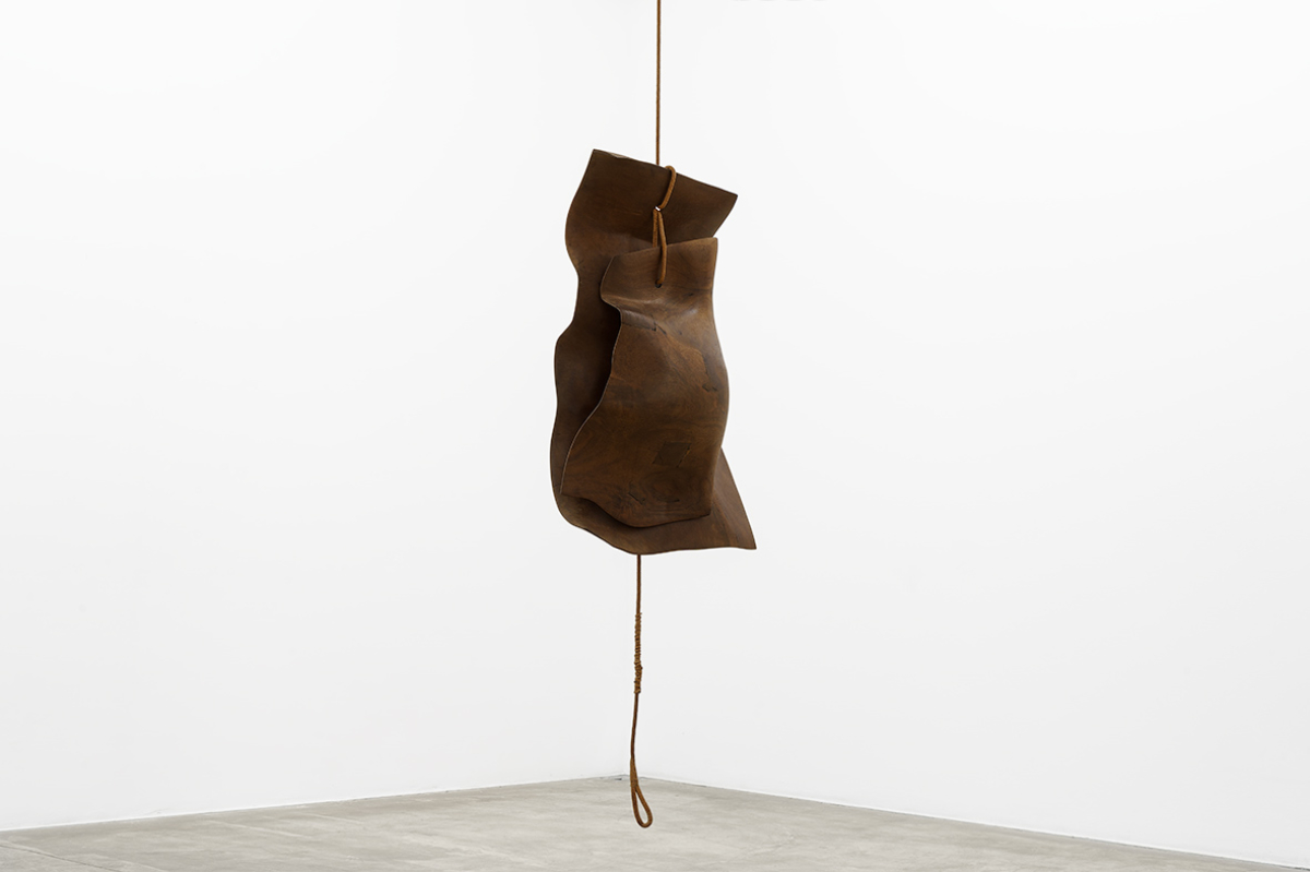 Celine Art Project Vienna Kohlmarkt — When Luxury Meets Critical Art