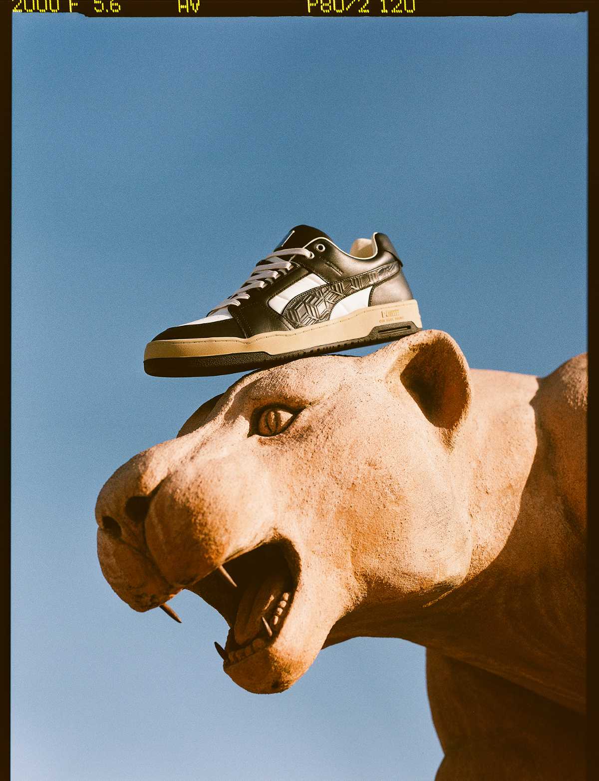 The new pumas cheap that just came out