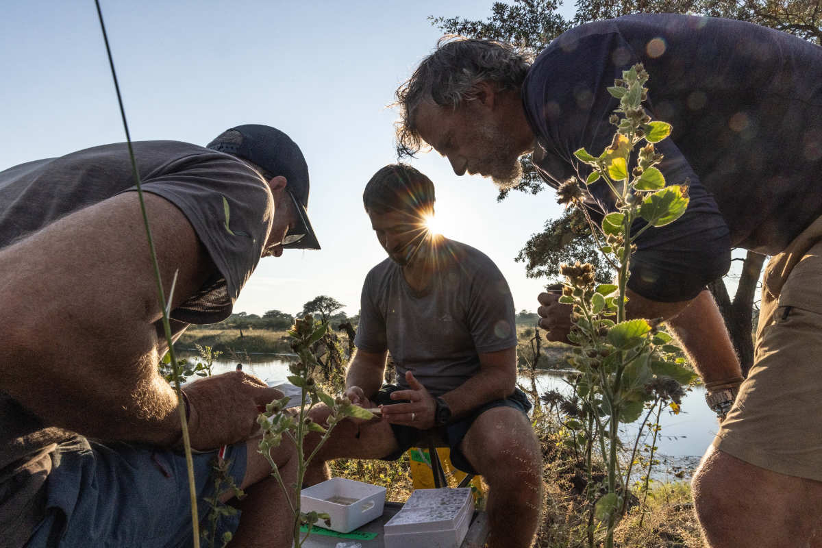 Steve Boyes: Uncovering The Zambezi’s Source