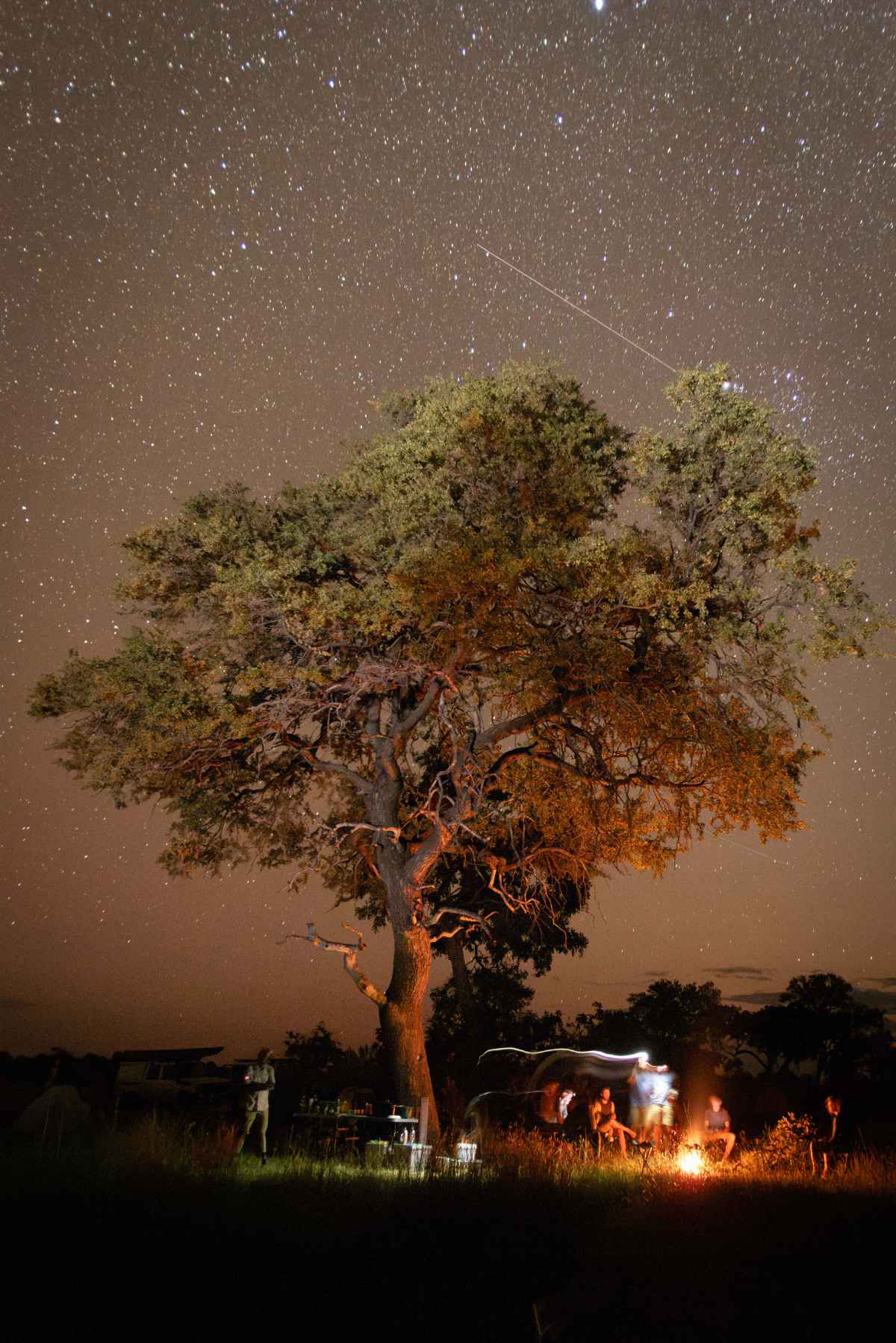 Steve Boyes: Uncovering The Zambezi’s Source