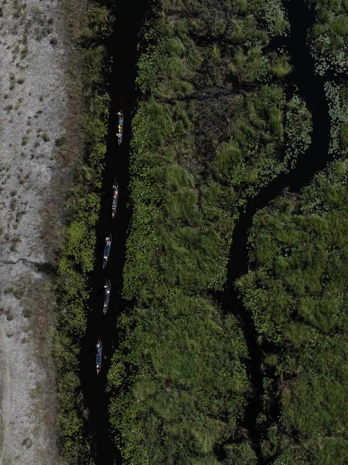 Steve Boyes: Uncovering The Zambezi’s Source