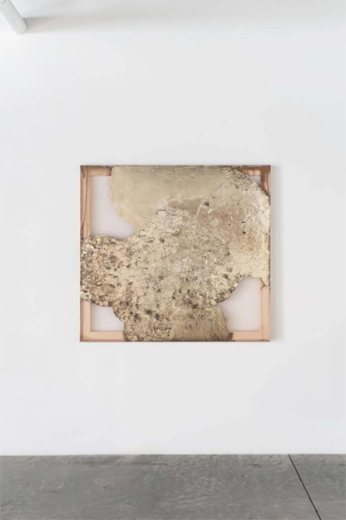 Celine Art Project Vienna Kohlmarkt — When Luxury Meets Critical Art